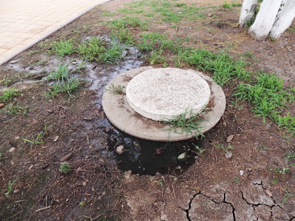 Нечистоты растекаются по поверхности земли из канализационного колодца на аллею