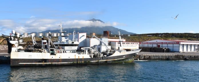 Типичный итурупский пейзаж на фоне вулкана Хмельницкого