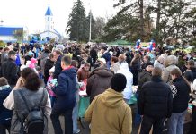 «ЛЮБИМЫЙ ГОРОД МОЖЕТ СПАТЬ СПОКОЙНО, И ВИДЕТЬ СНЫ, И ЗЕЛЕНЕТЬ СРЕДИ ВЕСНЫ» /Евгений Долматовский/