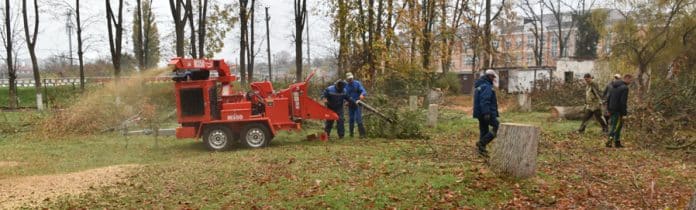 утилизация спиленной древесины